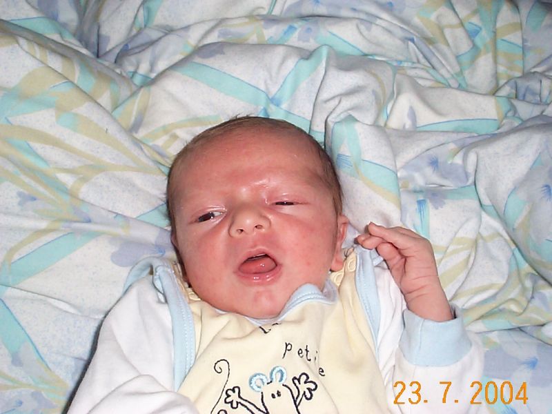 Nchstes Bild