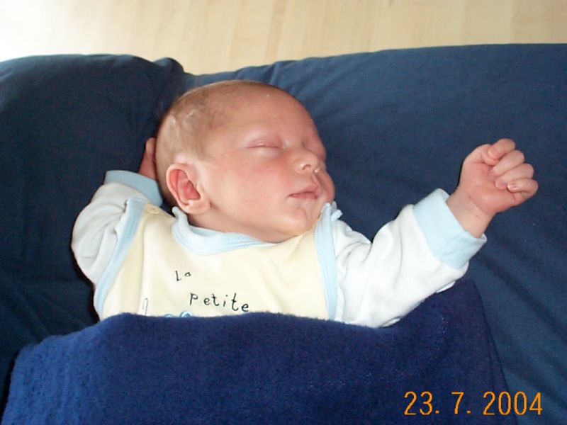 Nchstes Bild