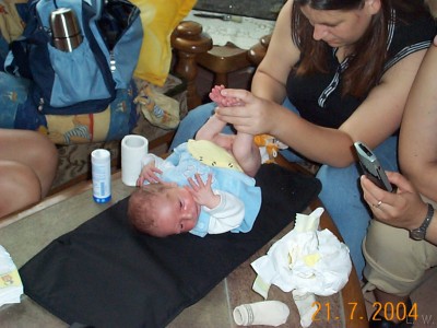 Zum Bild in Originalgre hier klicken...