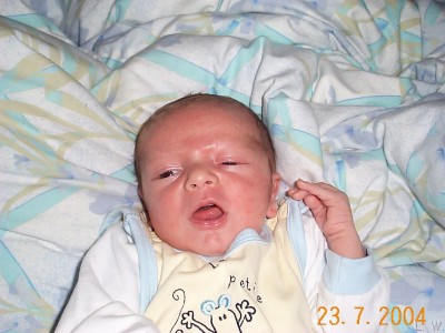 Zum Bild in Originalgre hier klicken...