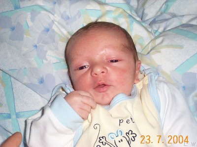 Zum Bild in Originalgr��e hier klicken...