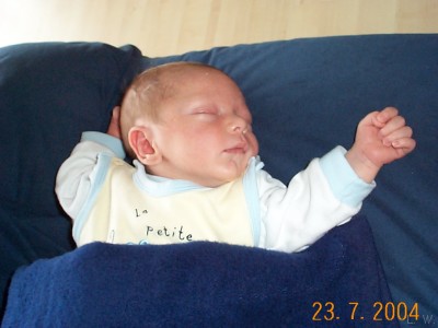 Zum Bild in Originalgre hier klicken...