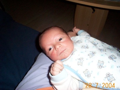 Zum Bild in Originalgre hier klicken...