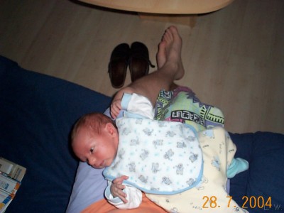 Zum Bild in Originalgre hier klicken...