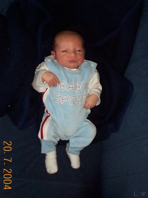 Zum Bild in Originalgre hier klicken...