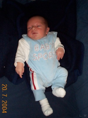 Zum Bild in Originalgr��e hier klicken...