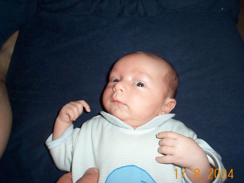 Nchstes Bild