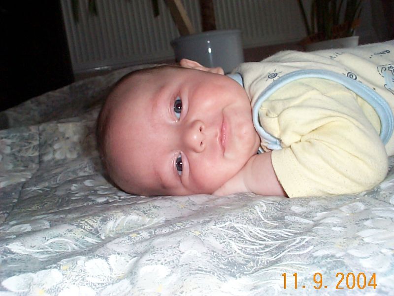 Nchstes Bild