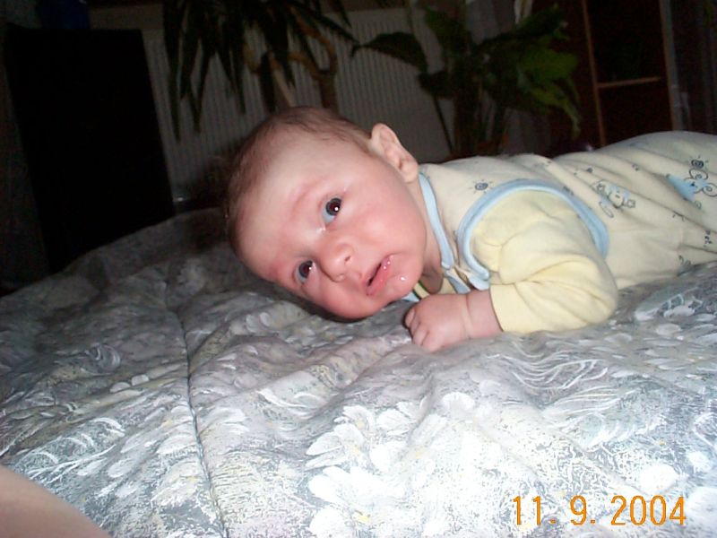 Nchstes Bild