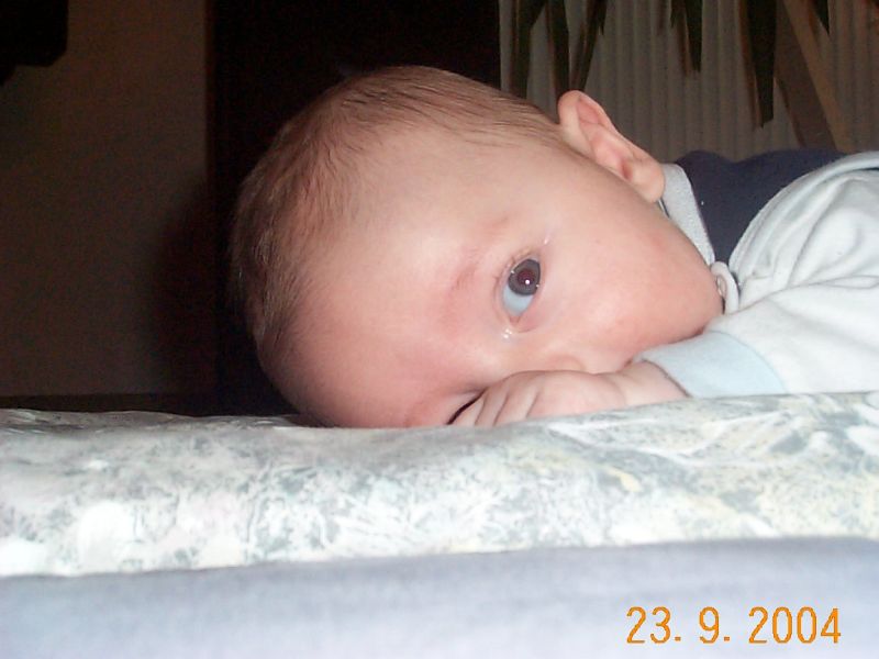 Nchstes Bild