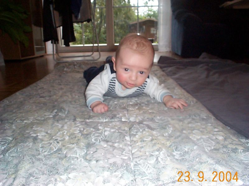 Nchstes Bild