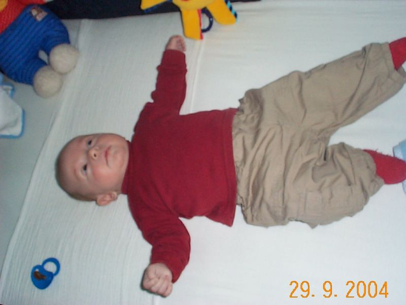 Nchstes Bild
