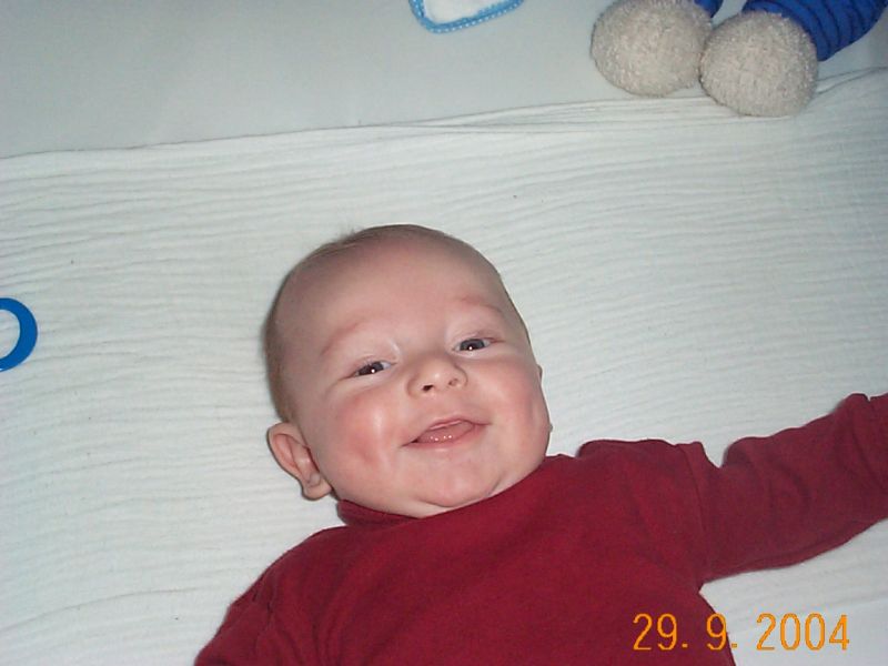 Nchstes Bild