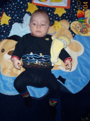 Zum Bild in Originalgre hier klicken...