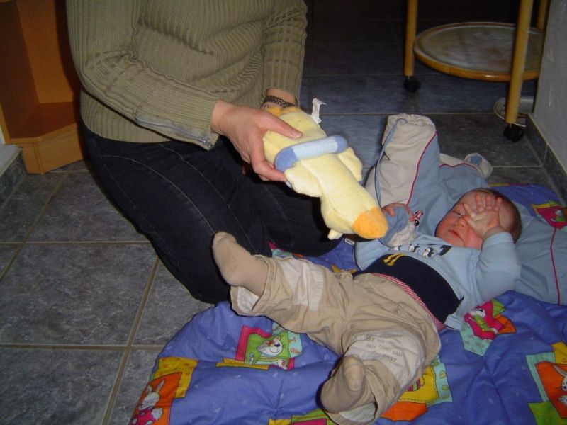 Nchstes Bild
